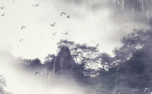 今天农历二〇二八年冬月十四黄历外出不适宜吗,出行吉日