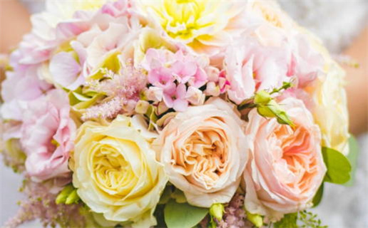 星尘算命目标哪个网站算命最准全面分析与推荐