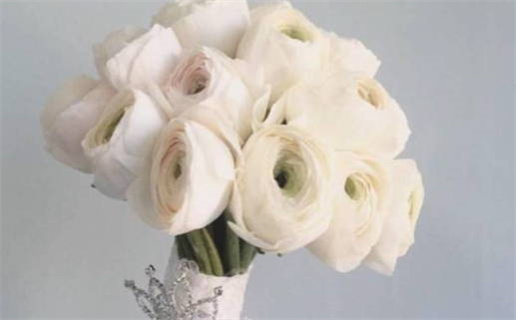 女性幸福婚姻手相特征解析掌纹揭秘情感运势