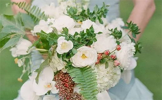 虎假半真之命的深刻解析与启示