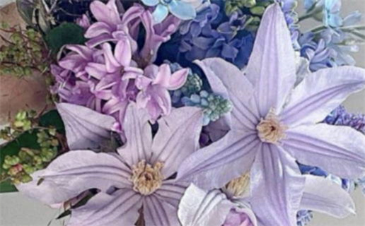 射手座男生为何常感委屈原因解析