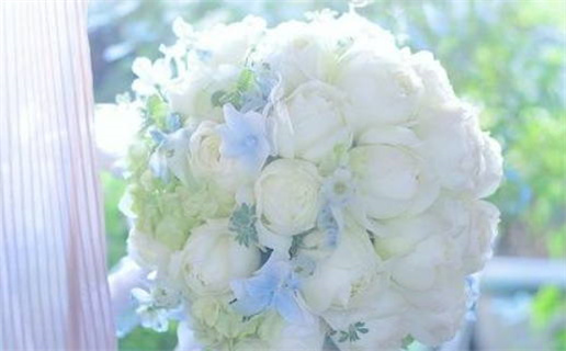 一九九六年属鼠的姻缘女生(一九九六年属鼠的姻缘女生怎么样)