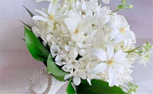 2007年是什么命(2007年是什么命五行属什么命)