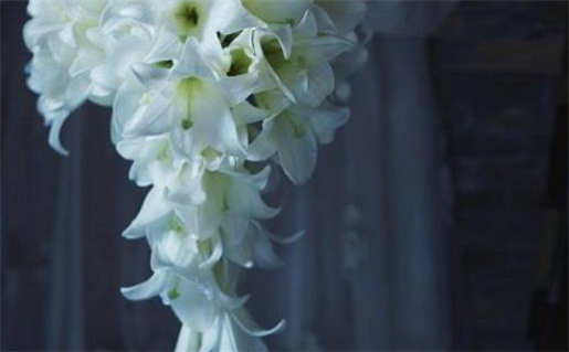 华盛八字算命(华盛八字算命免费详批)