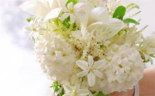 91年8月出生的羊命运解析