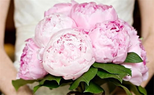 命里缺水取什么名字好(女孩子命里缺水取什么名字好)