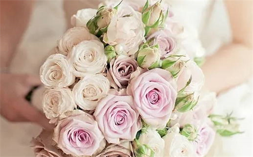 精准四柱八字算命软件助你洞悉命运人生