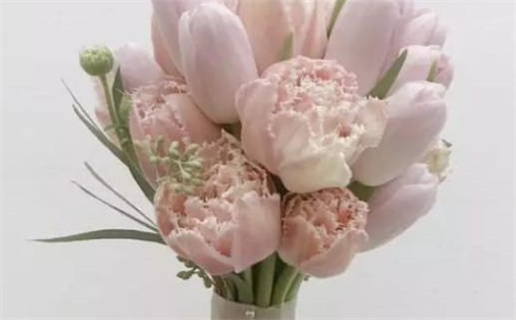 射手座男生最配星座揭秘完美伴侣推荐