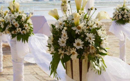 瓷都生辰八字算命网(瓷都生辰八字免费算命)