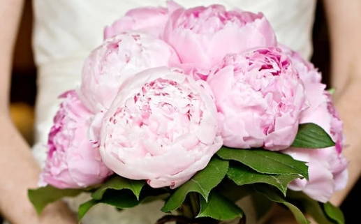 梦见抢东西,做梦梦到是什么意思会怎么样好不好,周公(梦见抢东西是什么预兆)