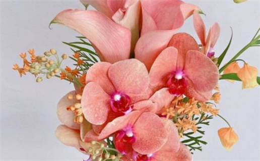 男人颧骨高面相_男人颧骨高面相,他们的命运好吗?