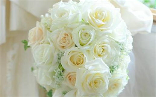 精准解读八字命理揭示人生运势秘密