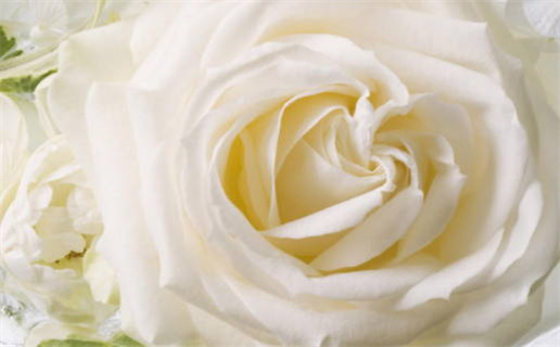 本月黄道吉日911查询及最佳选择攻略