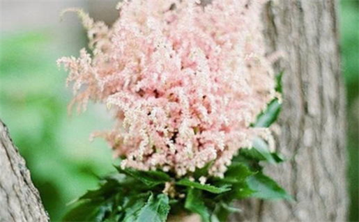 骨他命的主要疗效及适应症一览