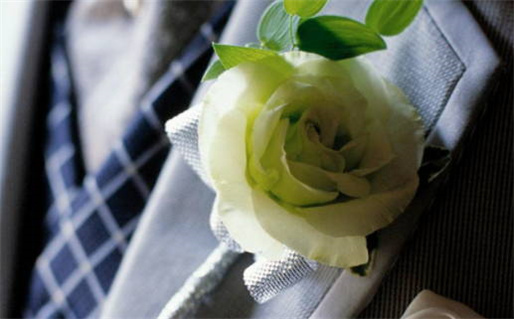 1990年属马的人命运解读与性格分析