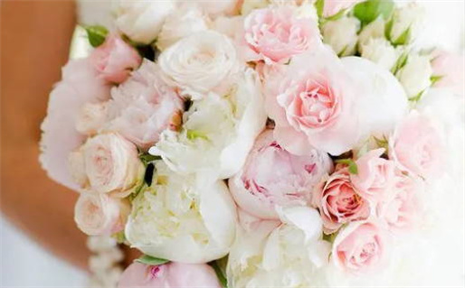 万年历 黄道吉日 查询(万年历黄道吉日查询2026年)