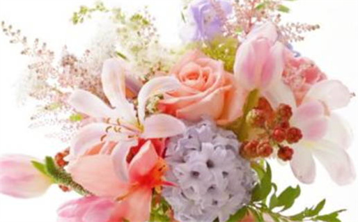 属马和属鼠的人对立(属马和属鼠的人对立吗)