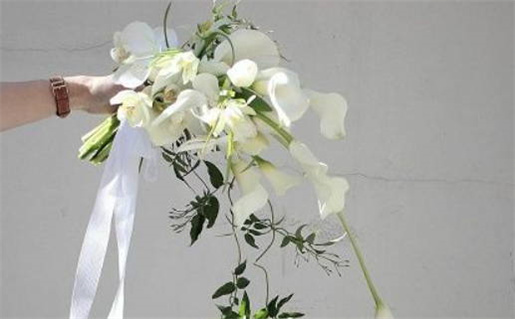 济南算命婚姻大师(济南算命婚姻大师排名)