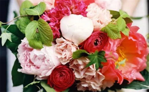 生辰八字称骨详解揭秘运势与命运关系