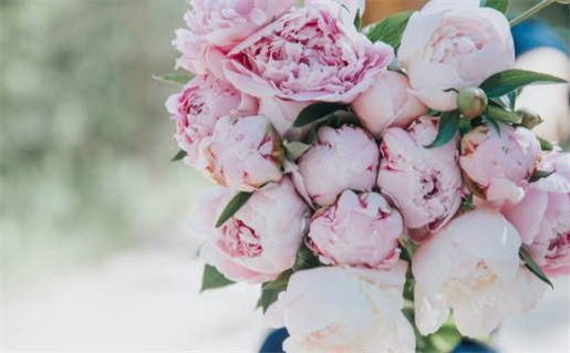 最准免费算命婚姻指南揭示幸福爱情之路