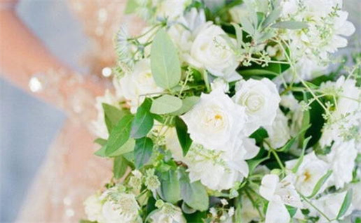 黑龟、绿龟、金龟不同颜色乌龟的风水作用_黑龟,绿龟,金龟不同颜色乌龟的风水作用一样吗