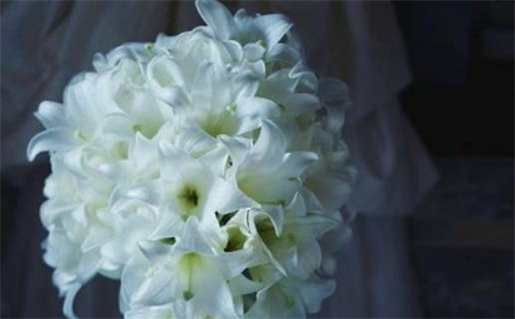 8月搬家黄道吉日查询_2026年8月搬家黄道吉日查询