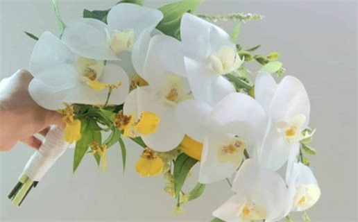 八字五行算命,五行命理,八字测算五行,免费五行算命(五行八字算命免费测试)