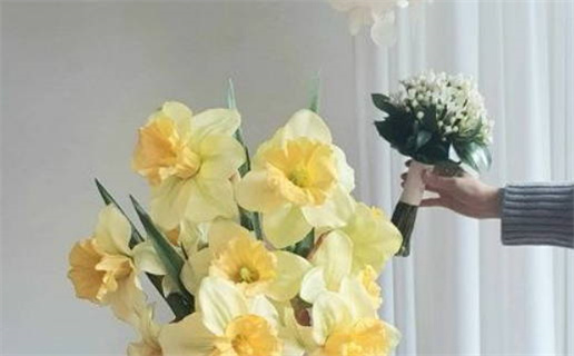 八字算命董(董易奇八字免费算)