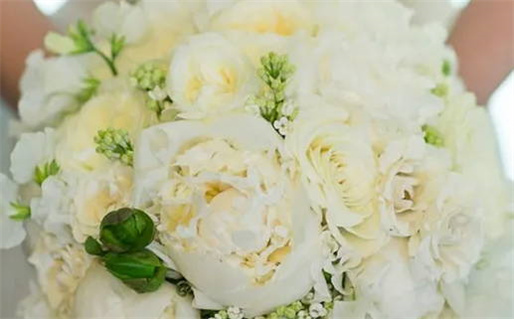 1988年是什么命年(1988年是什么命呢)