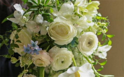 水命人客厅挂什么画好_水命的人客厅挂什么画好