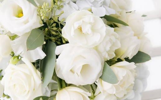 2000的龙是什么命