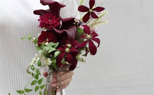 属鼠女性的幸运数字揭示与运势提升秘诀