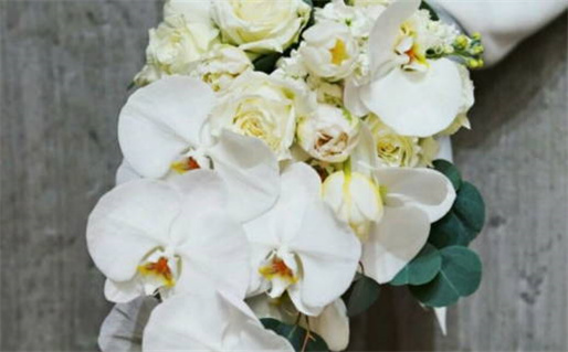 在线八字,测八字,测算八字,生辰八字解读_在线八字算命免费测八字