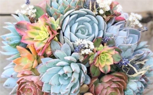 宋姓男孩起名(宋姓男孩起名100分的)