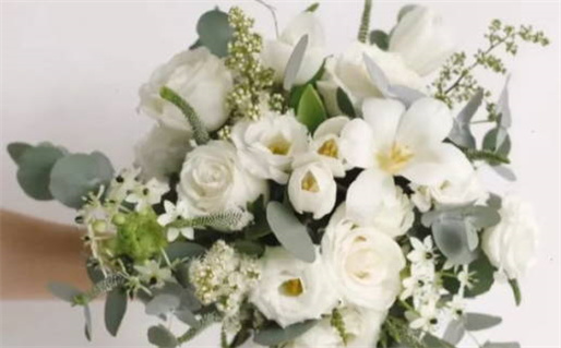 八字算命网(八字算命网免费)