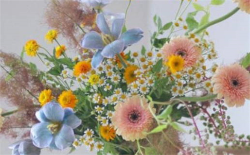 生肖虎犯太岁_生肖虎犯太岁的年份