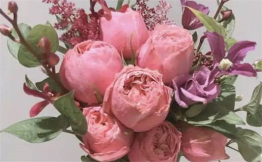 孙姓男孩起名(孙姓男孩起名大全(带解释))