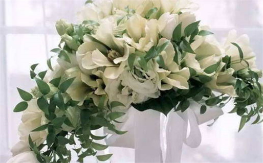 命若琴弦是什么意思(命若琴弦怎么理解)