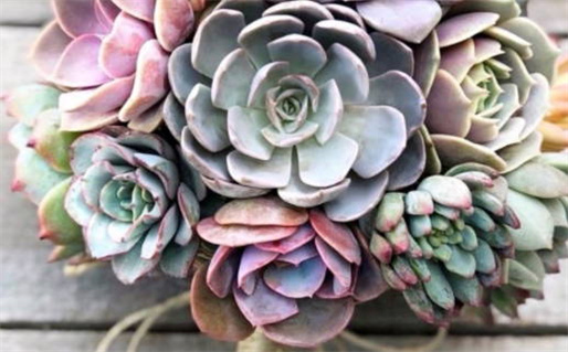 算命免费 生辰八字流年_算命免费 生辰八字流年运势