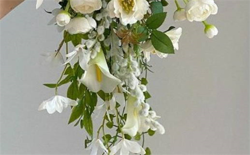 养命之源是什么生肖_养命之源是什么生肖?