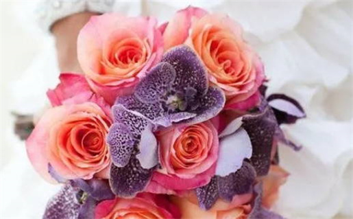 土命不适合做什么行业(土命不适合干什么行业)