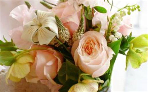 八字算命入门教程快速掌握命理奥秘