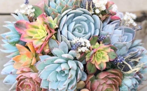 女人胳膊粗是什么命_女人胳膊粗是命苦还是富贵