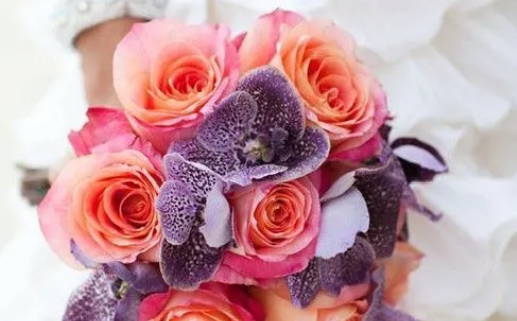 1979年属什么命解读揭秘你的命运之缘