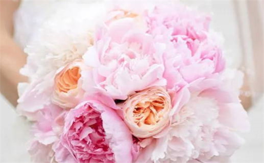 八字算命宝_八字算命宝典