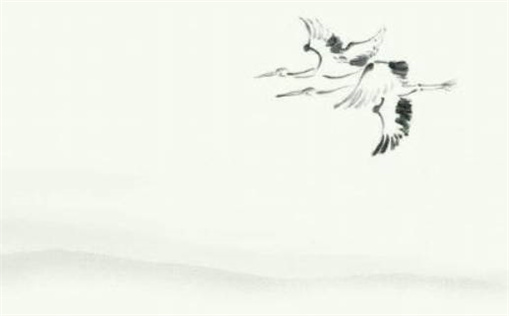 2014出生是什么命(2014出生是什么命五行属什么)