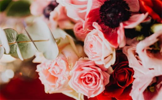 八字算命如何预测寿命详解与真实案例分析