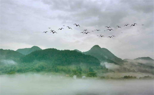 男生为什么偏爱处女座的女生解析与原因分析