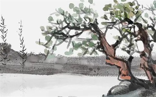 2026年12月27日适宜动土吗,这天动土合适吗