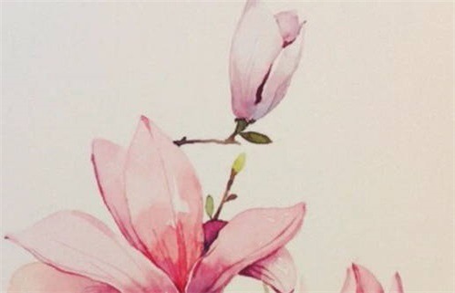 今天2026年09月20日破土老黄历不推荐吗,农历二〇二六年八月初十动土日子